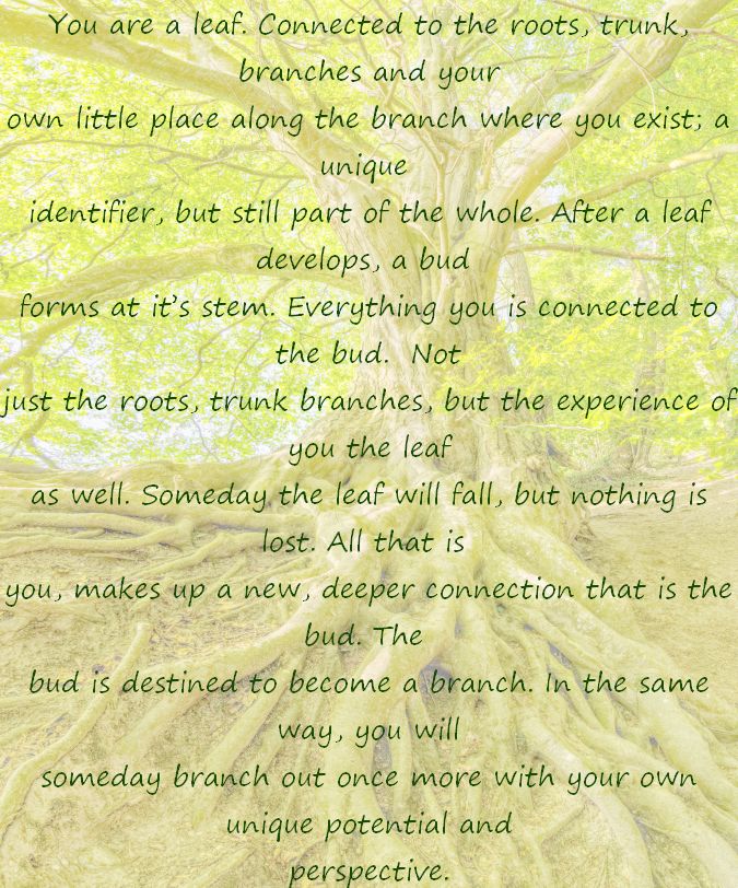 A meme about the Evolution of Life